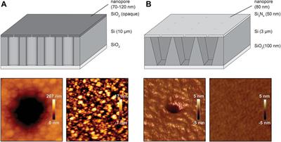 Membrane-Suspended Nanopores in Microchip Arrays for Stochastic Transport Recording and Sensing